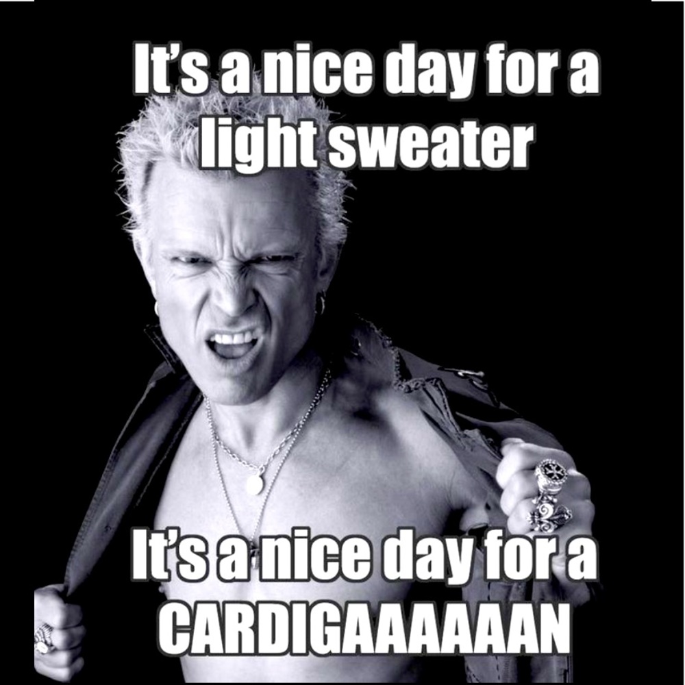 Is Billy Idol?